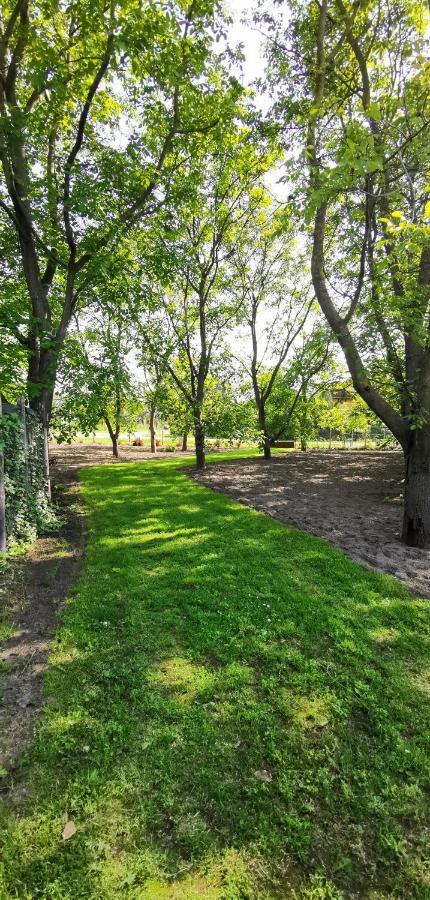 Szent Erzsébet Apartmanház Kecskemét Exterior foto